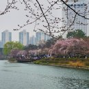 석촌호수 티스토리