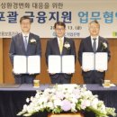신한디자인그룹주 이미지