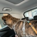 독클래스 이미지