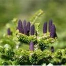 선정공원 이미지