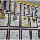 용인대 가온 태권도 이미지