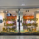 힐링 펫 카페 이미지