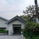 솔리,자운 이미지