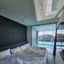 더레지아B 이미지