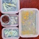 끼니 | 분당반찬 판교반찬 집밥구독 끼니 하루 체험 후기 🍽️