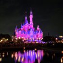 여행중국어 | [2025 상하이 3박 4일 자유여행] 고덕지도 중국어,일정, 숙소, 항공권, 준비물, 기념품, 날씨 후기