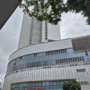 성복약국 | 후기[용인 성복역 롯데몰] 일요일에도 문 여는 친절한 비타민약국 완벽 가이드 - 감기약 구매