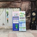 만 마리의 호랑이 | 대전 아쿠아리움 보문산 사자와 호랑이를 코 앞에서 만날 수 있는 동물원