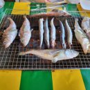 속초동경 이미지