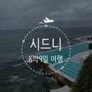 서운도서관 | 호주 시드니 여행] 8박 9일 시드니 4일차 후기_PCP, AP House, 주립도서관, 본다이비치, 아이스버그...