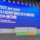 국가대표 아우라 태권도 이미지