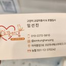 마곡 고양이 미용 호텔 이미지