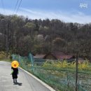 내가 심은 딸기를 내가 따 먹는 날｜아이와 농촌체험, 내심내먹 딸기 수확기