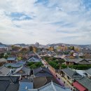 도장밭노래마을 | 단풍 구경] 큰맘 먹고 공유하는 전주한옥마을 단풍, 갈대밭 명소 (베테랑 칼국수, 육전, 닭꼬치, 단풍과...