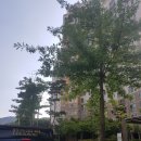 미니스톱원주무실주공점 이미지