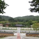 유림-1084 이미지