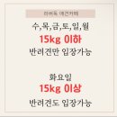 러버독&도그팰리스 이미지
