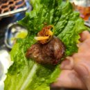 카카오 이미지
