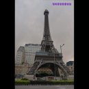 청화종합동물병원 이미지