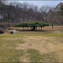 효자 최회 정려 | 봉산동 향나무 &amp; 효자 최회 정려(세종 조치원) .... 2025.03.08