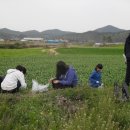 쑥으로 사랑 나눔 ‘효’까지 실행 고흥점암중앙중학교 이미지