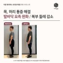 필라테스 더함 필라테스 운정 산내점 파주 목동동 가격,후기,추천,이벤트