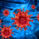 혜인동물약품 | 박쥐 코로나바이러스, 인간세포 침투 가능성 발견!