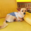 고목로1 이미지