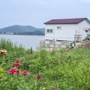 하얀펜션 네이버블로그
