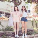 보라# 세계일보