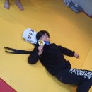 용인대백곰유도관 이미지
