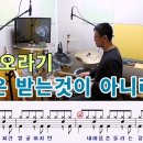 사랑은 받는것이 아니라면서-해오라기 120 이미지