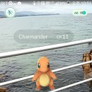 아리스토이펜션 이미지