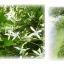 망양리 대게공원 이미지