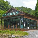 화인투어 이미지