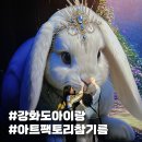 공간 | 강화도 아이와가볼만한곳 아트팩토리참기름 복합문화공간 후기