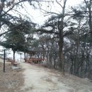 수원팔색길 화성성곽길 이미지