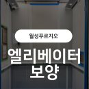 월성푸르지오 | 이걸 안 하면 공사 절대 시작하면 안 되는 이유 (월성푸르지오 17인승 엘리베이터 보양 후기)