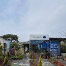 식집사들의 제주 성지, 곶자왈 보석상자 식물카페