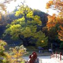 보석사 이미지