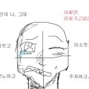 비해피 이미지