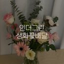 전국배송꽃다발 추천! 일주일지난 솔직후기, 인더그린