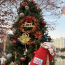 감자네 | 울산크리스마스마켓 감자네 떡방 후기, 마켓 둘러보기