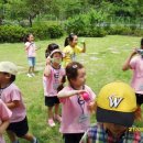 일신초병설유치원 이미지