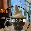 스텔라온 이미지