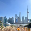 (주)우원 | 4일차] 모어요거트, 양쯔깐루, 홀리랜드 기념품 배달, 북와이탄 매너커피, 좌정우원 훠궈 상해 미식여행🎵