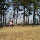 백운초교병설유치원 이미지