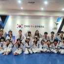 경희대박사문무태권도장