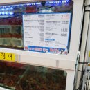 독도꽃새우 이미지