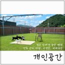개인공간 애견펜션 | 경주 애견동반펜션 개인공간 4동 독채 마당 수영장 이용 후기